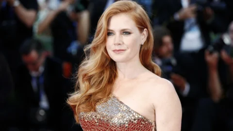 16 Best Amy Adams Films