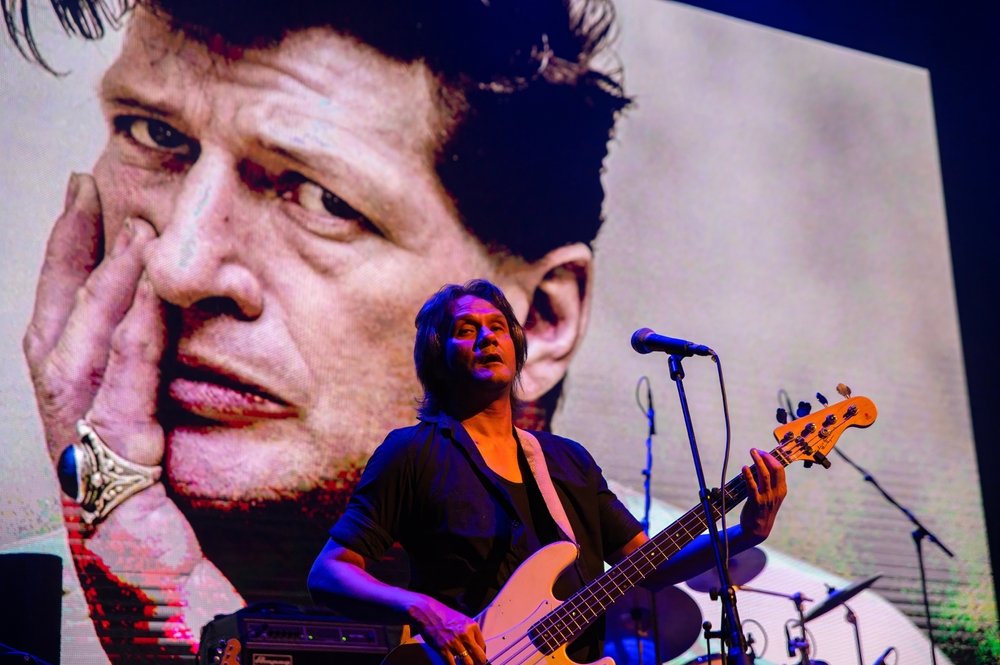 Top 10 Best Songs by Herman Brood & His Wild Romance