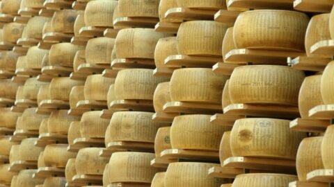 Top 10 Best Cheeses in the World