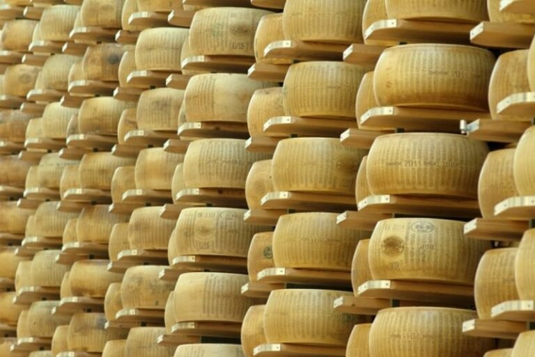 Top 10 Best Cheeses in the World