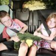 Top 10 Best Road Trip Games