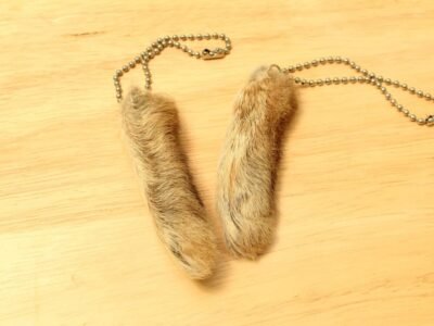 Rabbit