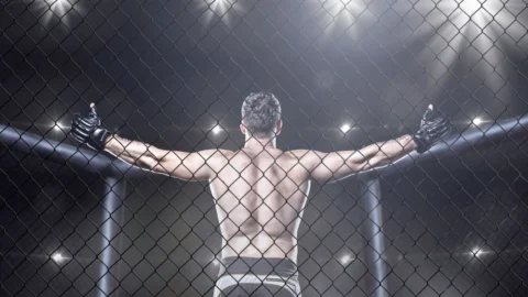 Top 10 Best MMA Fighters of All Time