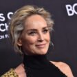 Top 10 Best Sharon Stone Movies