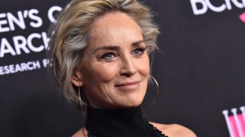 Top 10 Best Sharon Stone Movies