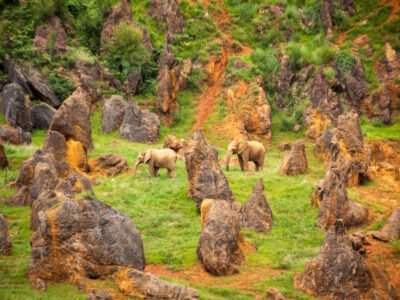 Cabárceno Nature Park (Spain) - 750 hectares