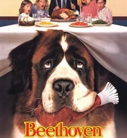 Top 25 Best Dog Movies of All Time