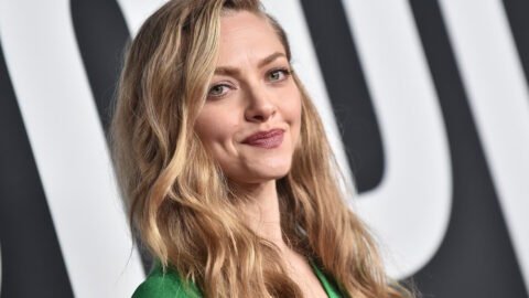 Top 10 Best Amanda Seyfried Movies