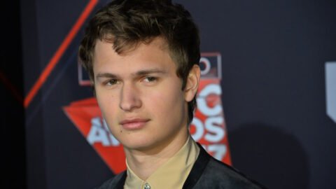 Top 10 Best Ansel Elgort Movies