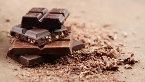 Top 10 Best Chocolate Brands