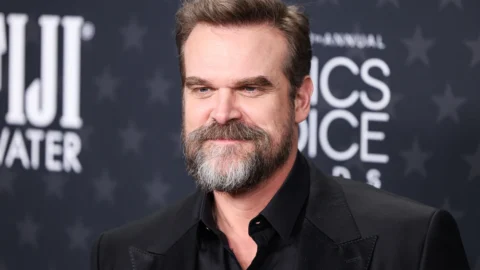 Top 10 Best David Harbour Movies and TV Shows