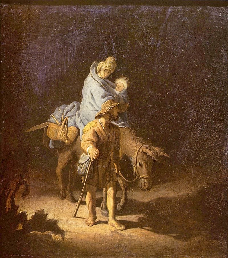 Donkey