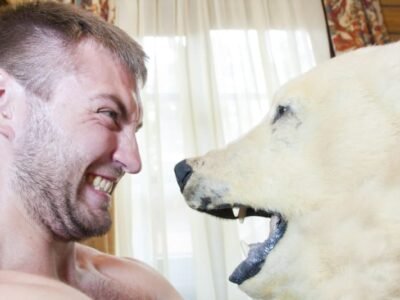 Polar Bear