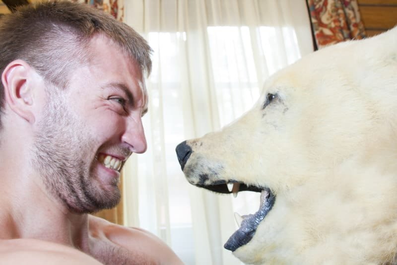 Polar Bear