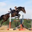 Top 10 Most Beloved Farm Animals