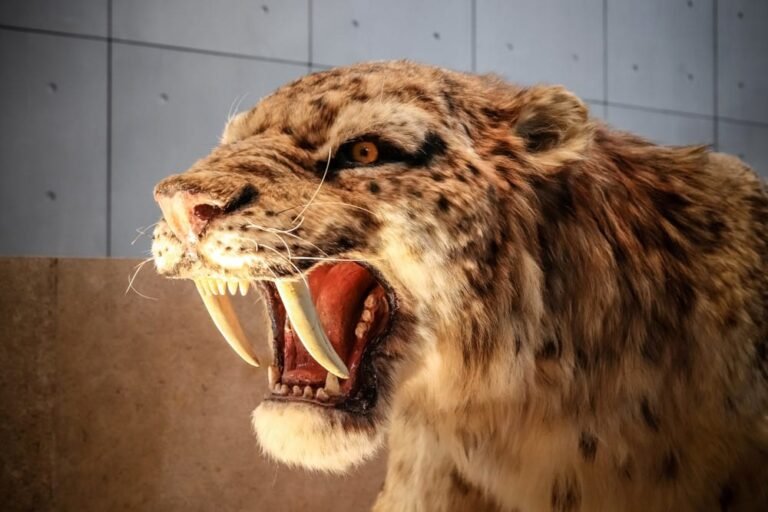 Top 10 Most Fascinating Extinct Animals (Prehistoric)