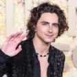 Top 10 Best Timothée Chalamet Movies
