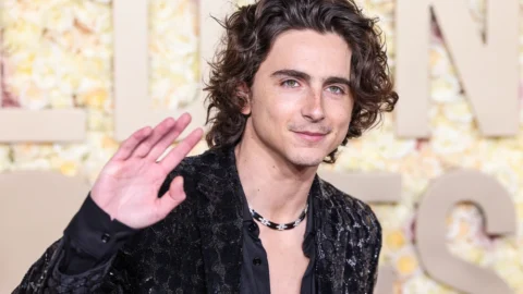 Top 10 Best Timothée Chalamet Movies