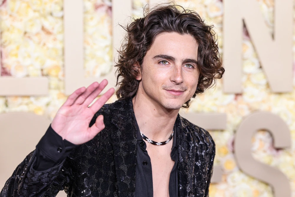 Top 10 Best Timothée Chalamet Movies